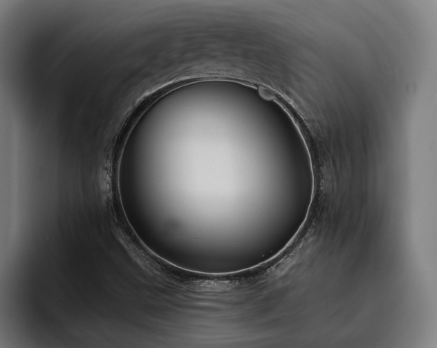 X0000093501499200710121504