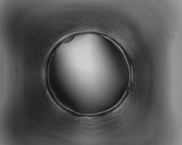 X0000093501500200710121504