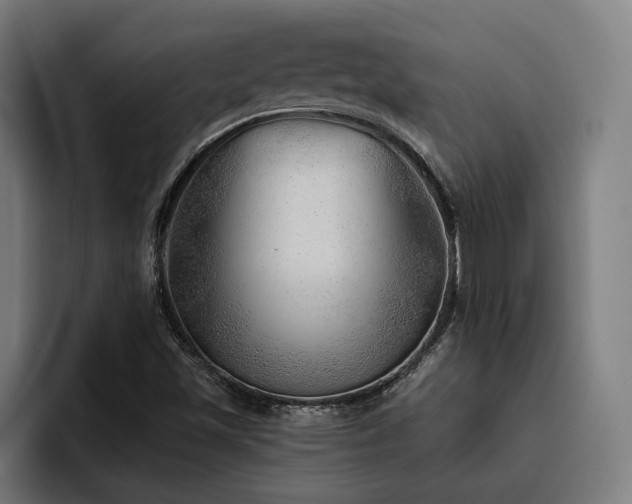 X0000093501501200710121504