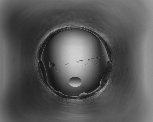 X0000093501502200710121504