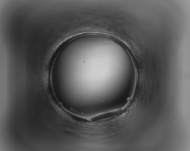 X0000093501503200710121504