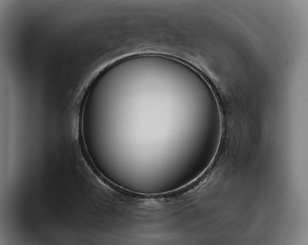 X0000093501504200710121504