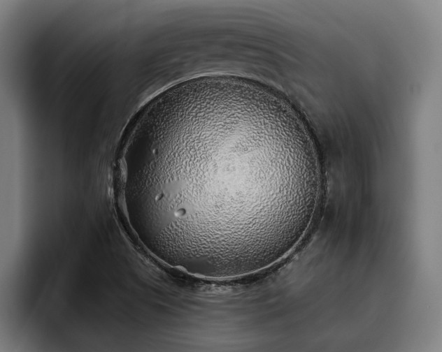X0000093501505200710121504