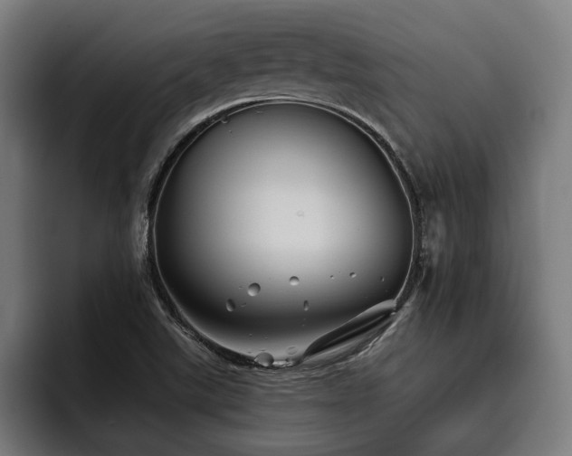 X0000093501507200710121504