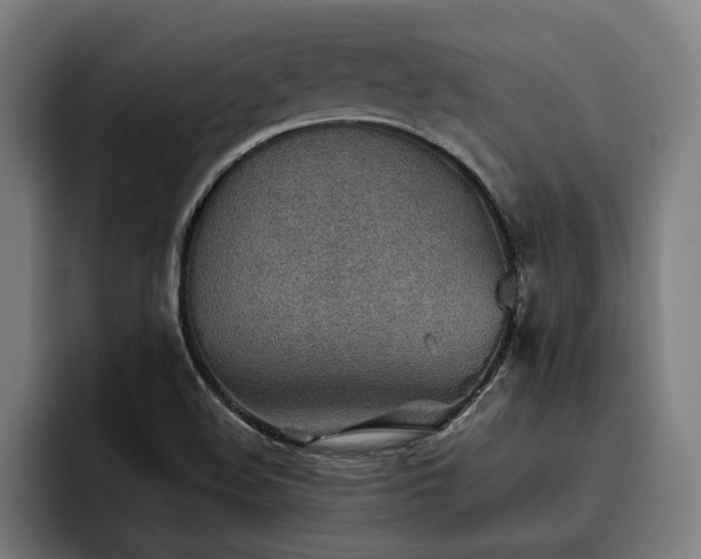 X0000093501508200710121504