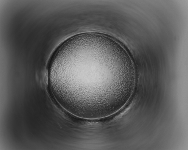 X0000093501509200710121504