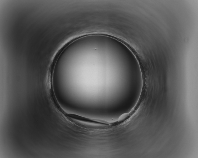 X0000093501510200710121504