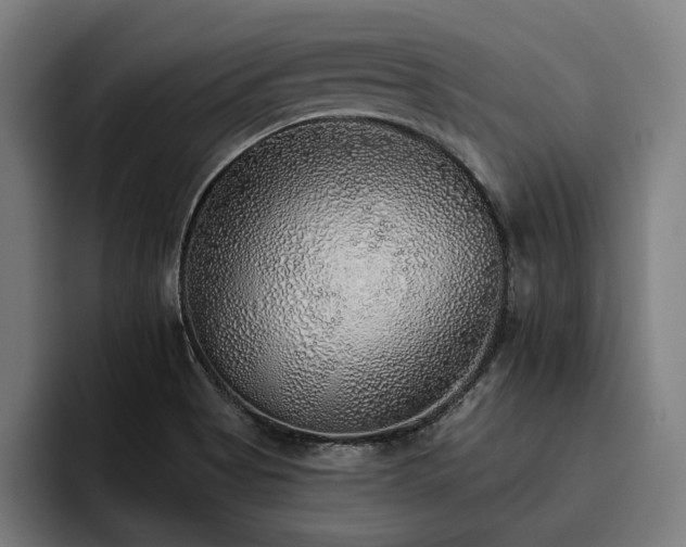X0000093501513200710121504