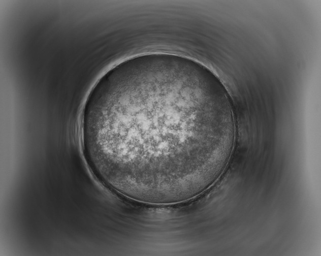 X0000093501515200710121504