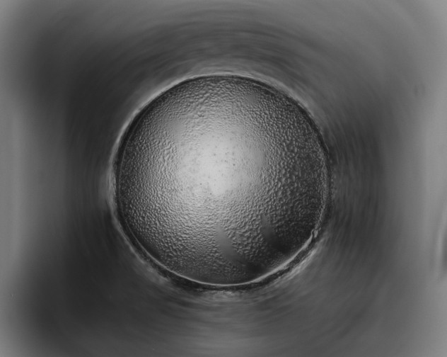 X0000093501517200710121504