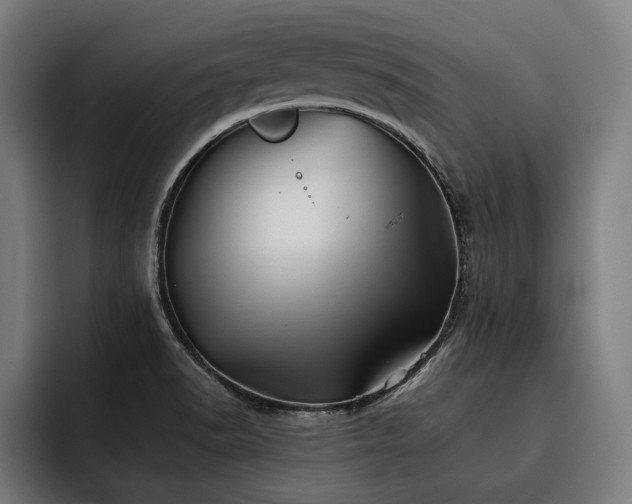 X0000093501518200710121504
