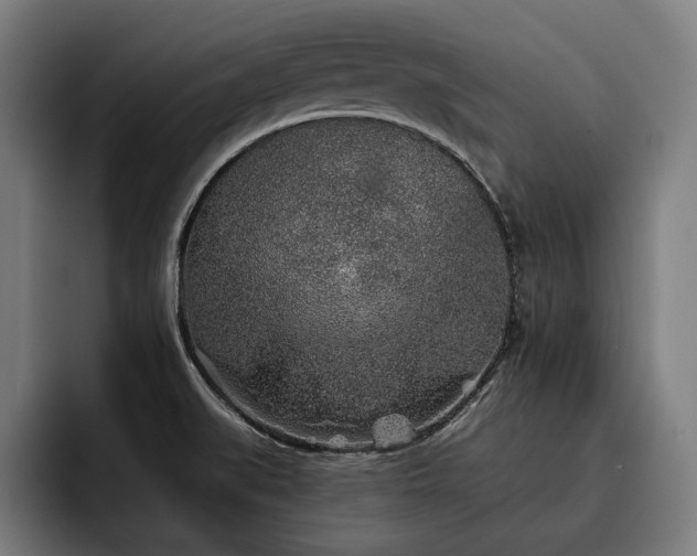 X0000093501519200710121504