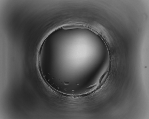 X0000093501520200710121504