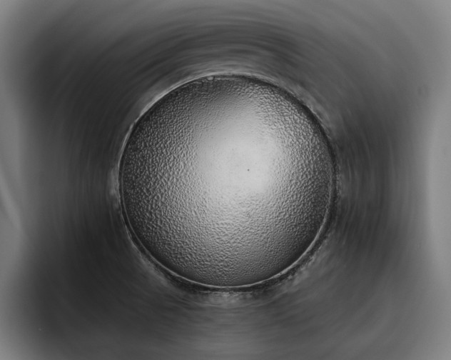 X0000093501521200710121504