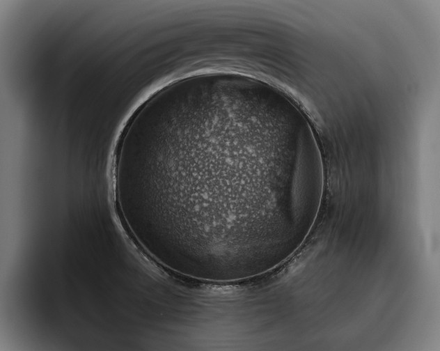 X0000093501522200710121504