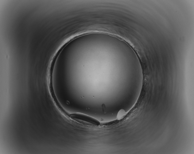X0000093501523200710121504