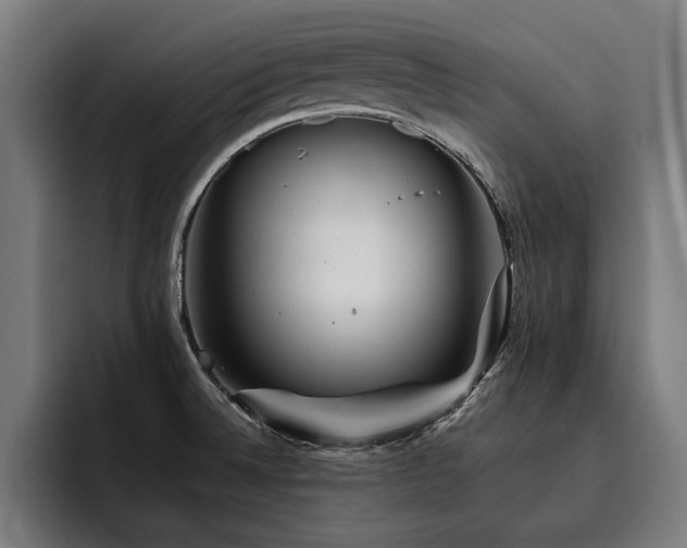 X0000093501524200710121504