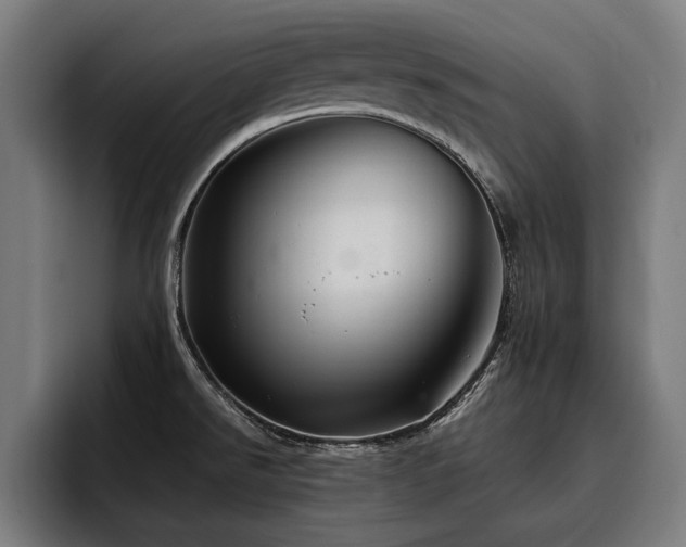 X0000093501526200710121504