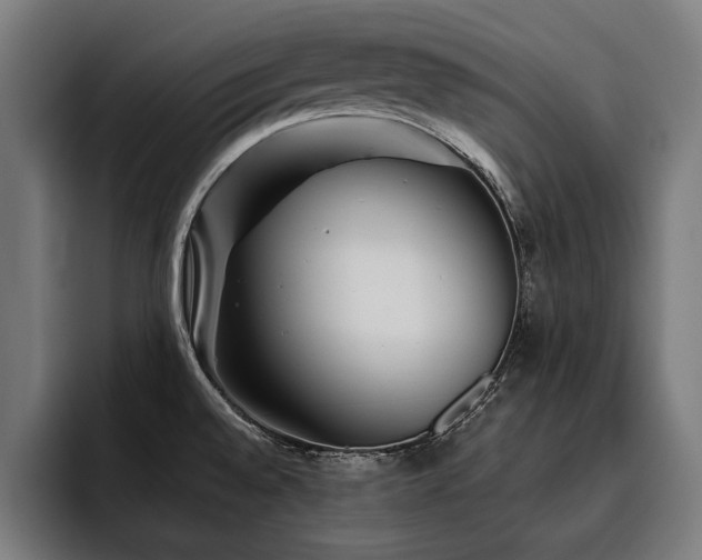X0000093501528200710121504