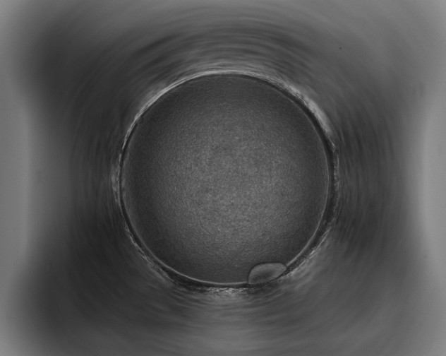 X0000093501529200710121504