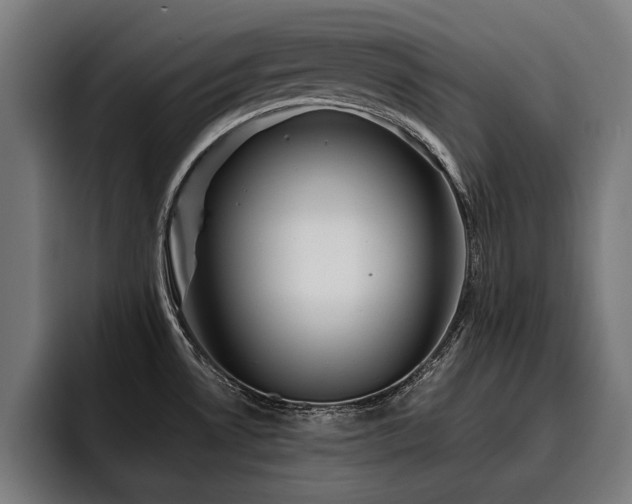 X0000093501530200710121504
