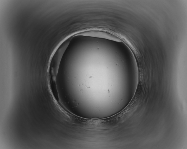 X0000093501532200710121504