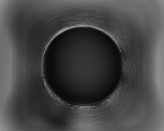 X0000093501534200710121504