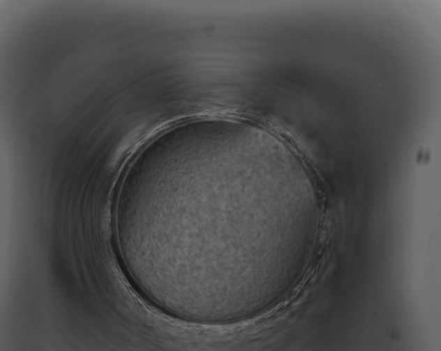 X0000093500002200710191258