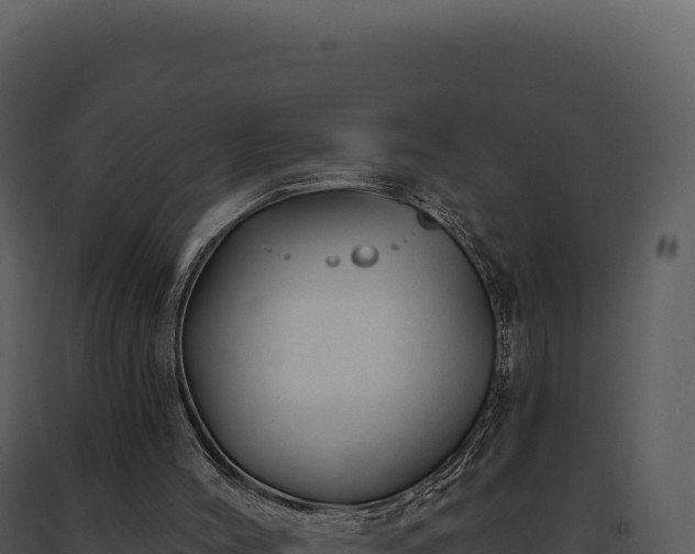 X0000093500004200710191258