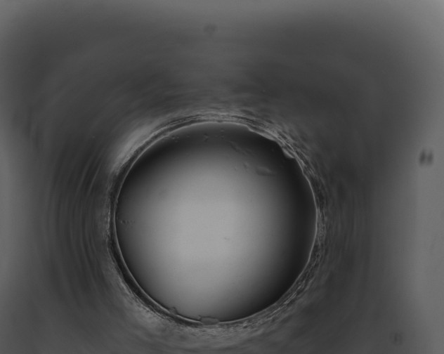 X0000093500005200710191258