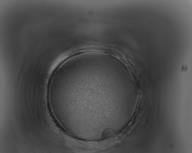 X0000093500006200710191258