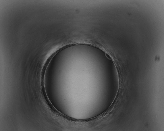 X0000093500008200710191258