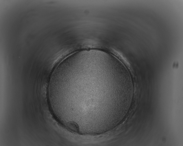X0000093500010200710191258