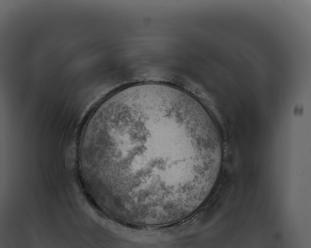 X0000093500012200710191258