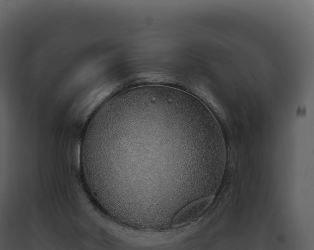 X0000093500014200710191258