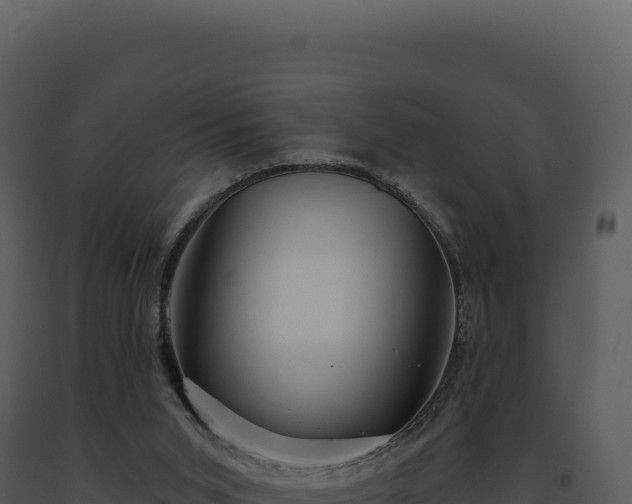 X0000093500015200710191258