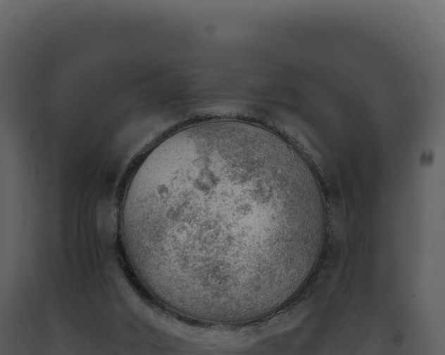 X0000093500016200710191258