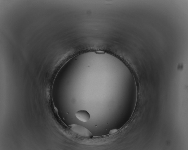 X0000093500017200710191258