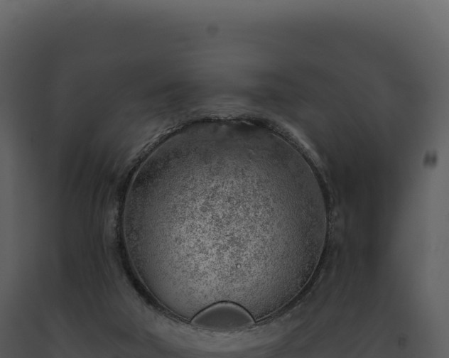 X0000093500018200710191258