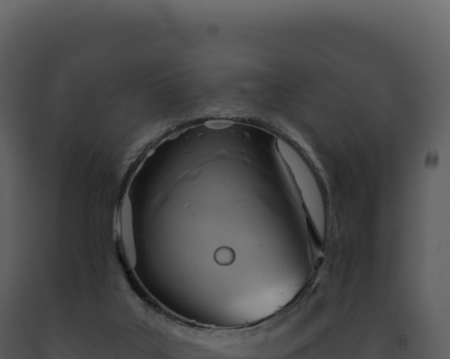 X0000093500019200710191258