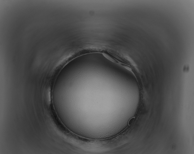 X0000093500020200710191258