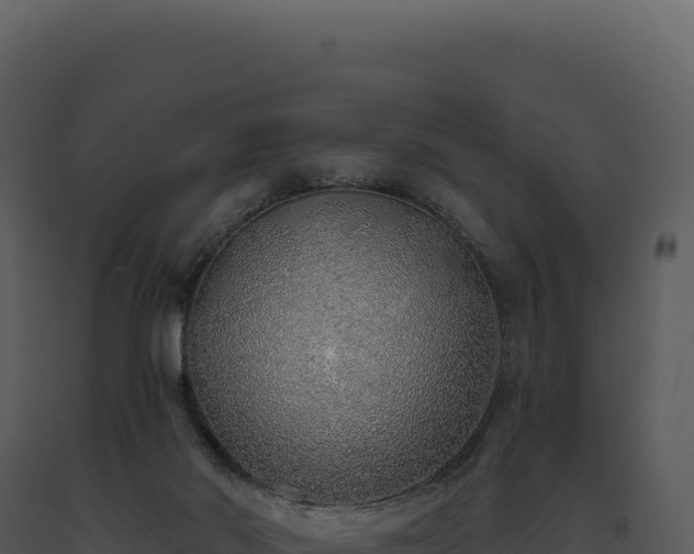 X0000093500022200710191258