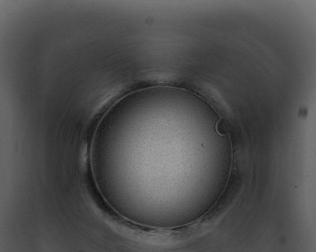 X0000093500024200710191258