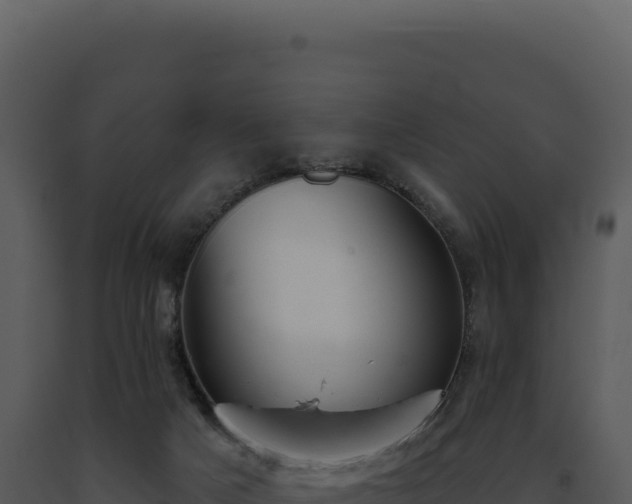 X0000093500025200710191258