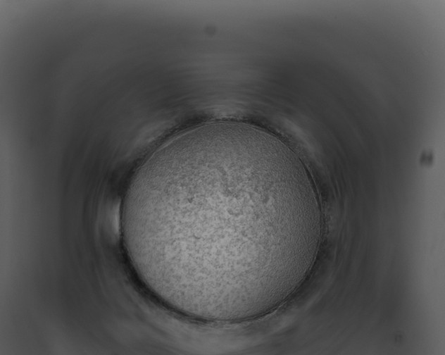 X0000093500028200710191258