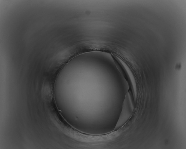 X0000093500031200710191258