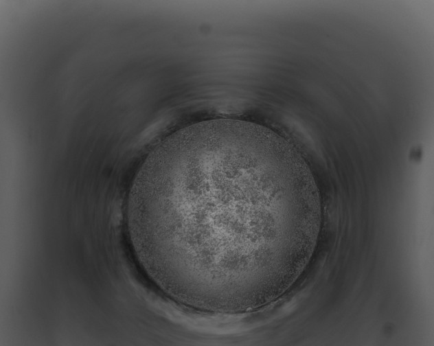 X0000093500032200710191258