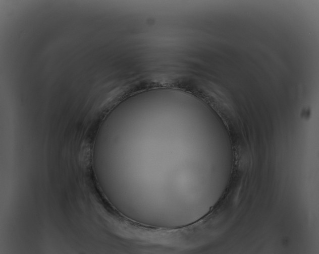 X0000093500036200710191258