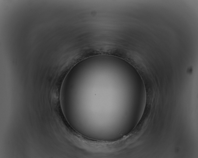 X0000093500040200710191258