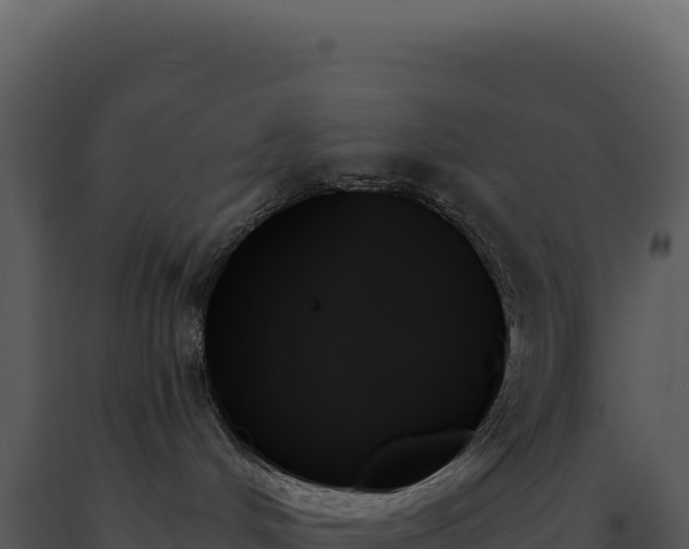 X0000093500048200710191258